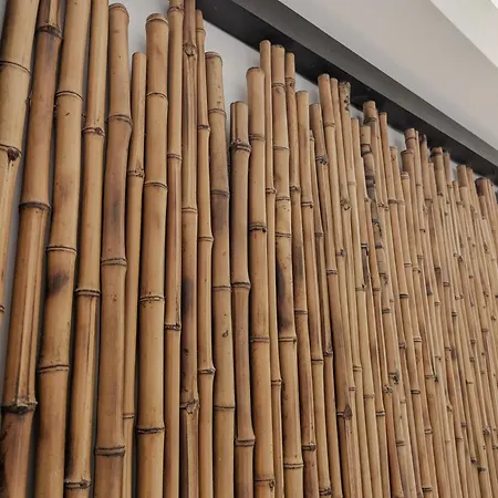 Casa Da Delonga 诺德什蒂